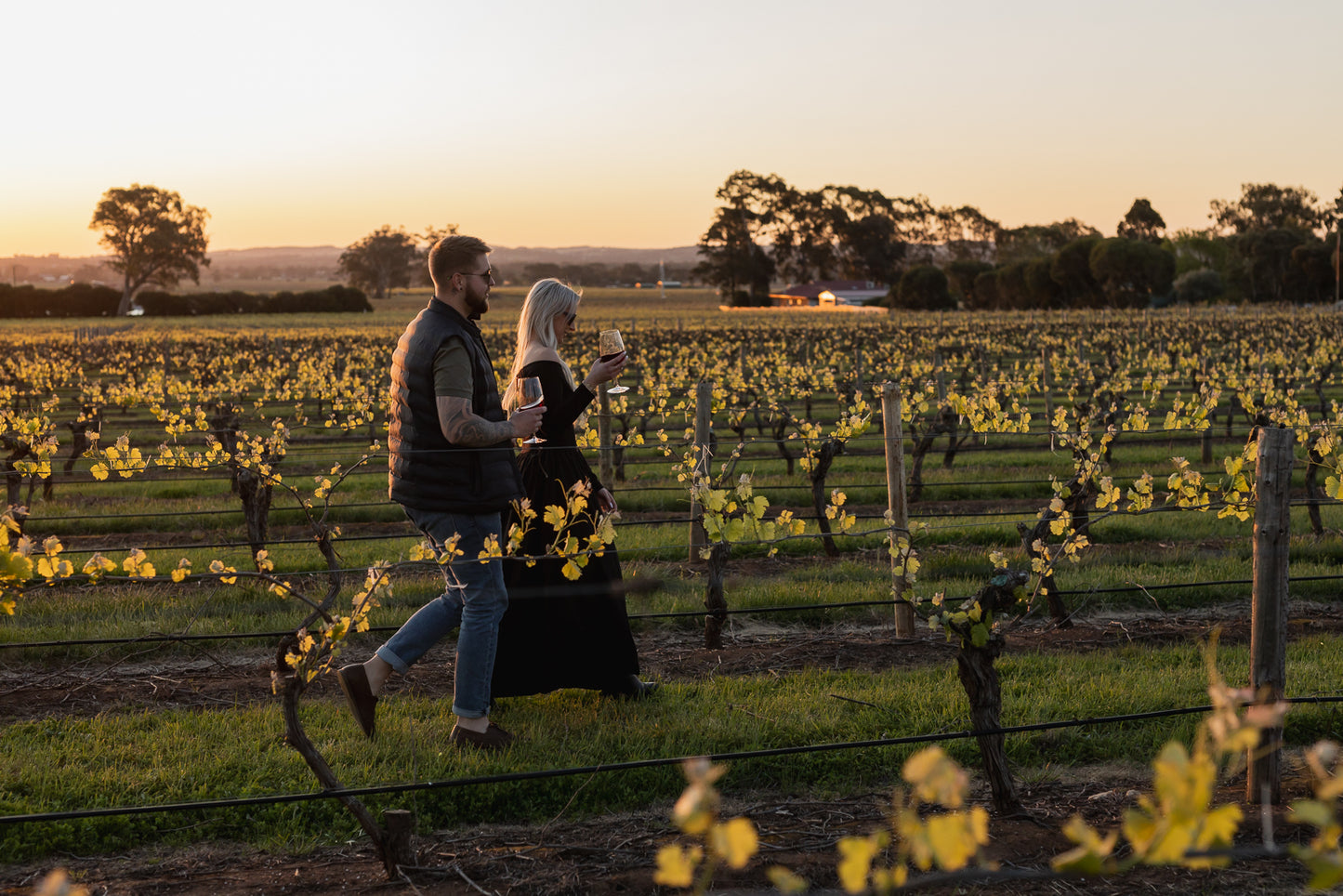 A Neat 6 (Carton of 6)