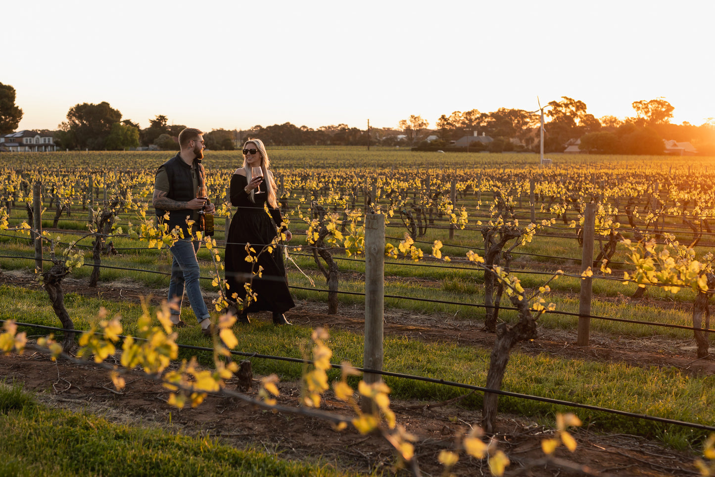 2023 Shiraz Cabernet – 1L