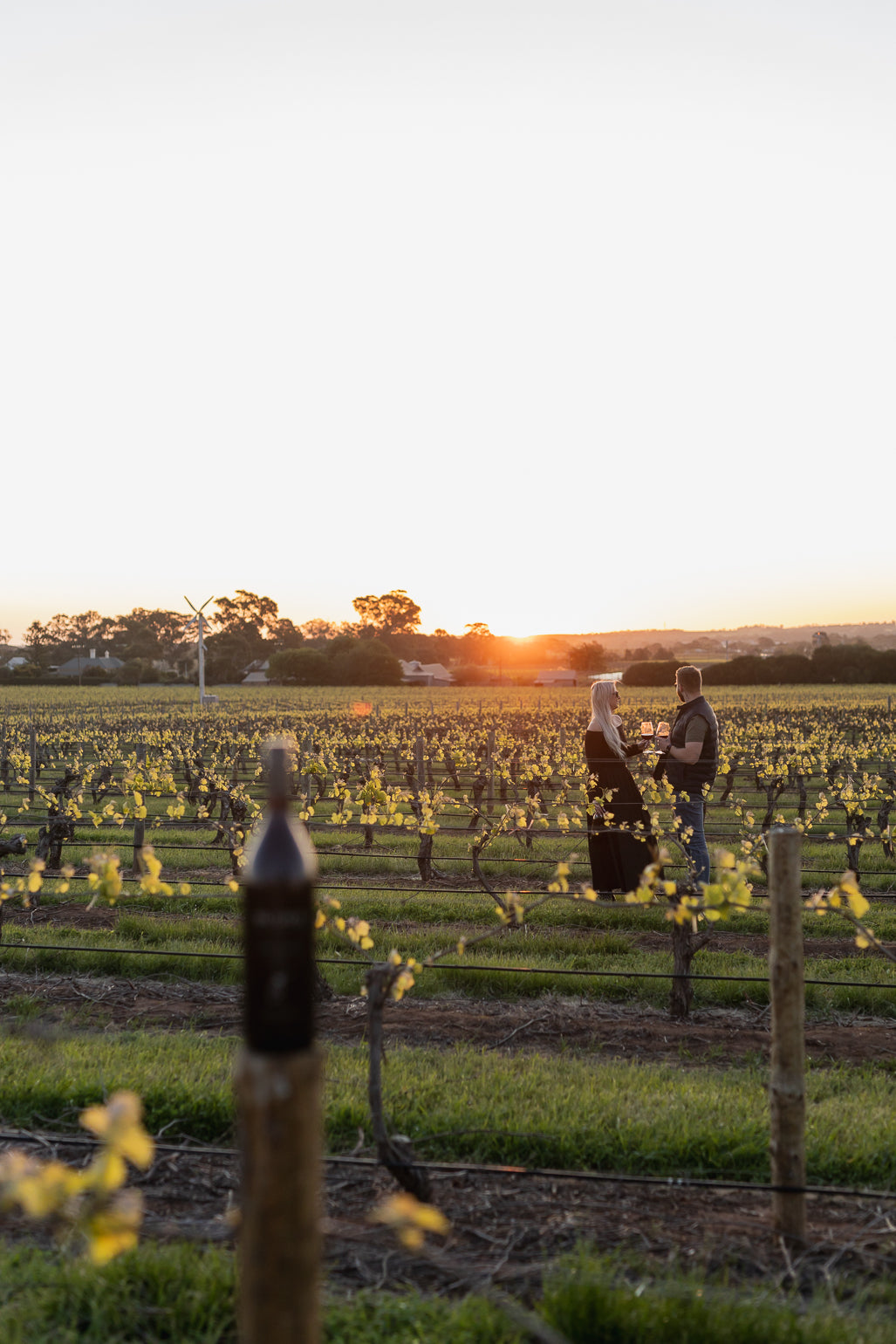 2023 Shiraz Cabernet – 1L