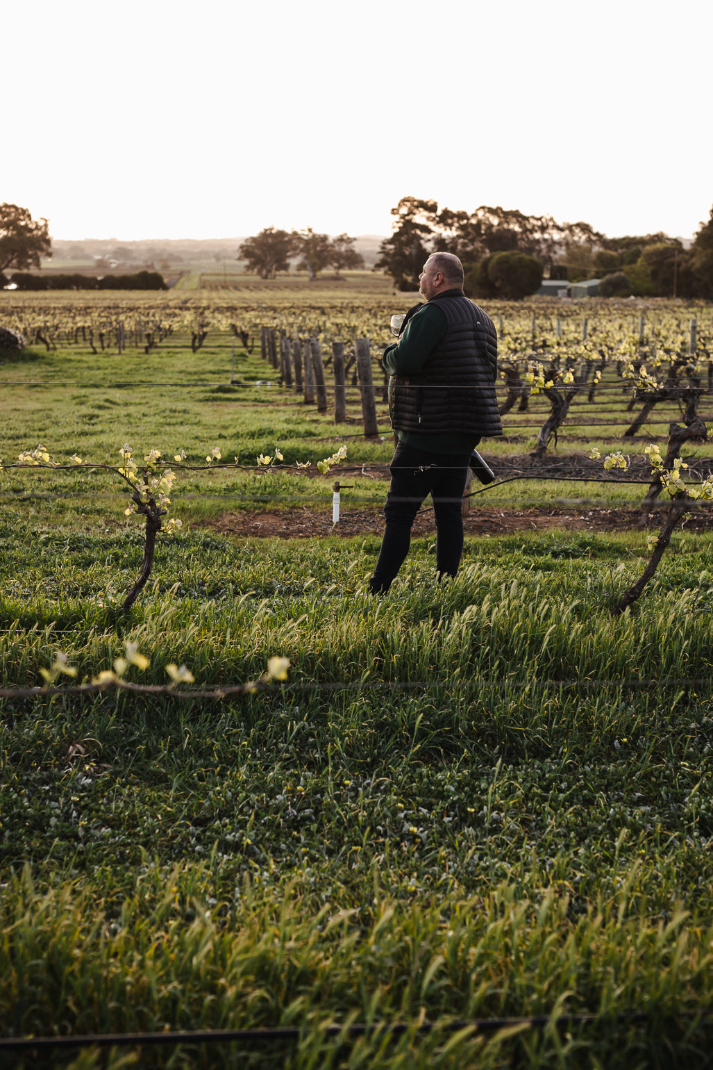 2023 Shiraz Cabernet – 1L