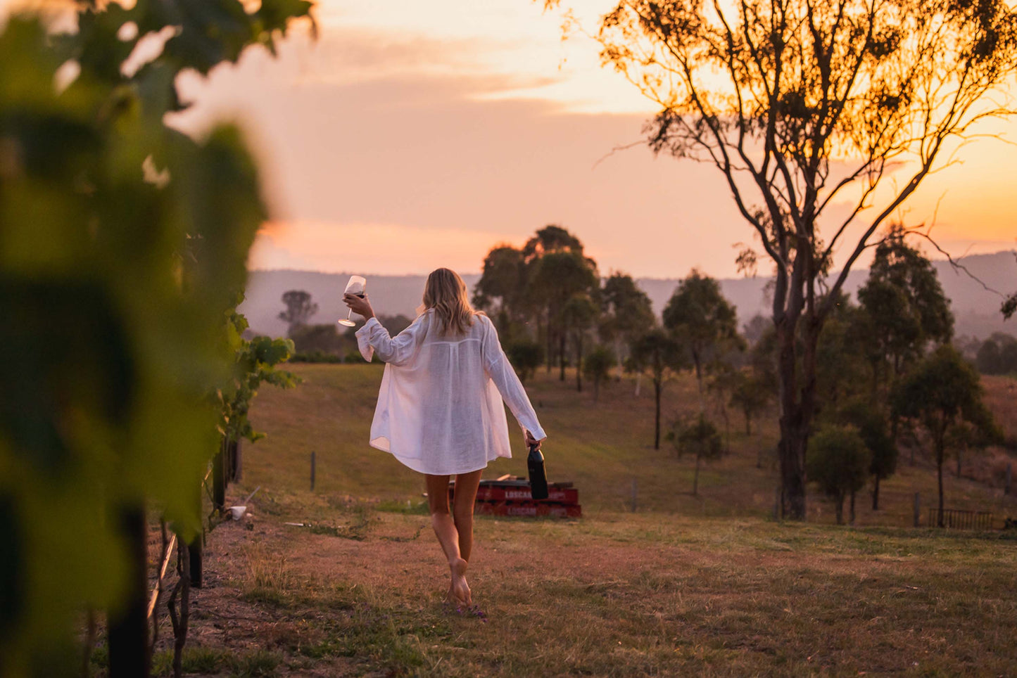 2024 Nero d'Avola – 1L